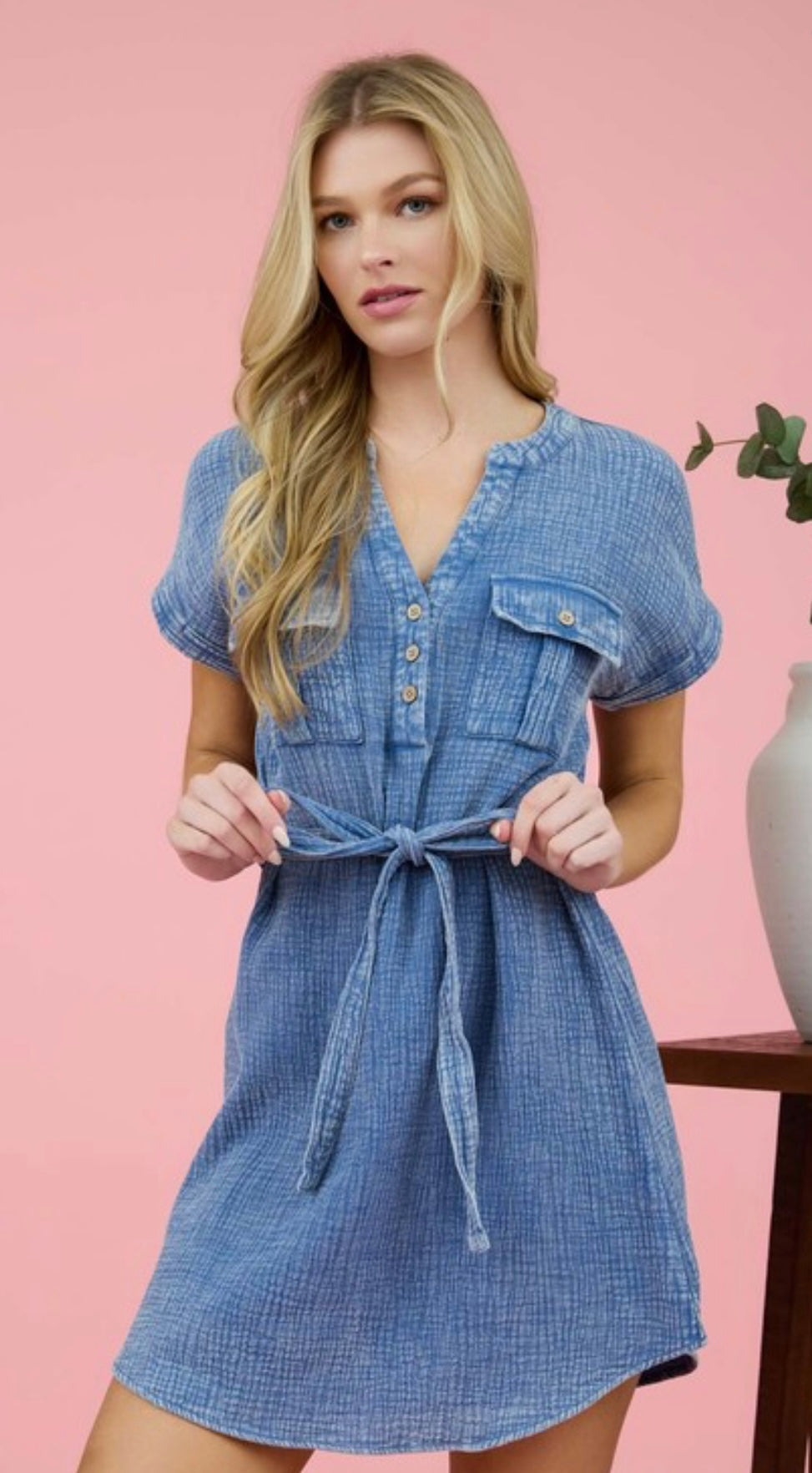 Chambray Tie Waist Dress